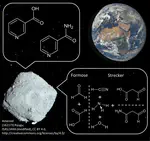 Prebiotic Vitamin B₃ Synthesis in Carbonaceous Planetesimals